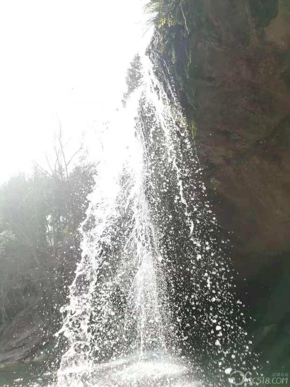 逃离棕榈树森林
